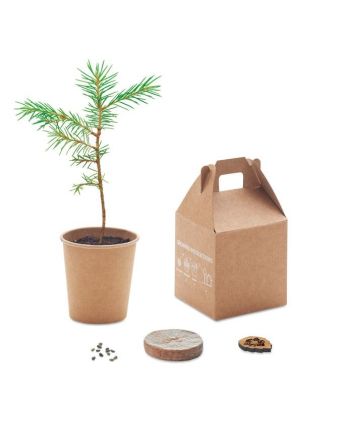 Grow Your Own Growtree