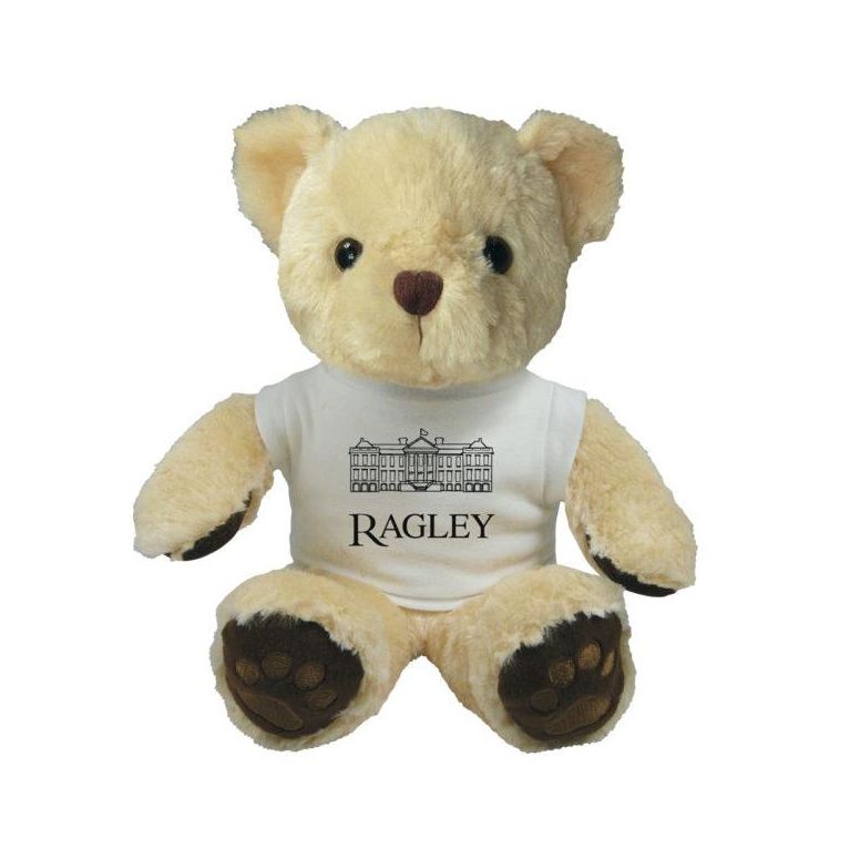 15 inch Chester Bear with T-Shirt