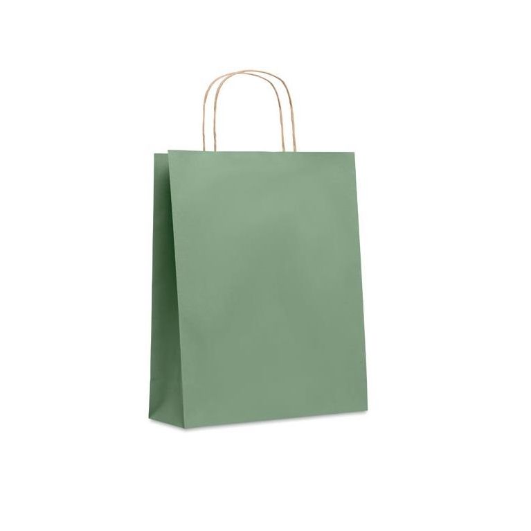 Medium Paper Gift Bag