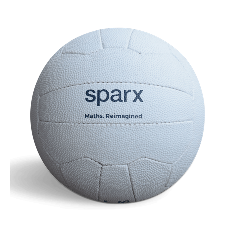 Size 5 Professional Training Netball